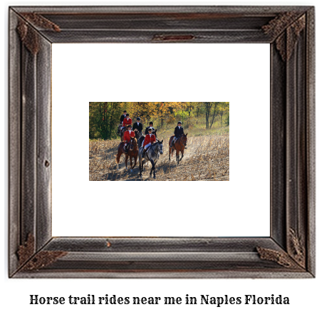 horse trail rides near me in Naples, Florida